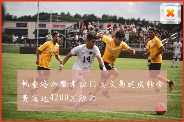 帕奎塔加盟弗拉门戈交易达成转会费高达4200万欧元