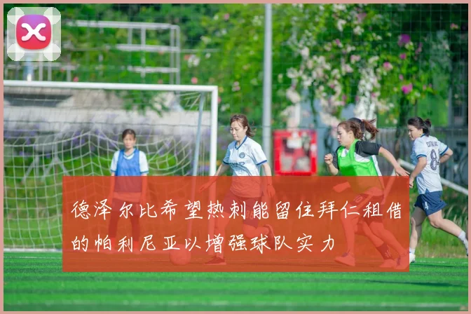 德泽尔比希望热刺能留住拜仁租借的帕利尼亚以增强球队实力