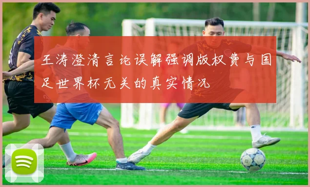 王涛澄清言论误解强调版权费与国足世界杯无关的真实情况
